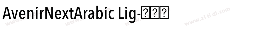 AvenirNextArabic Lig字体转换